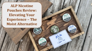 alp nicotine pouches review elevating your