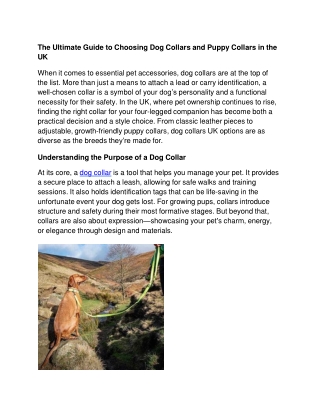 The Ultimate Guide to Choosing Dog Collars and Puppy Collars in the UK