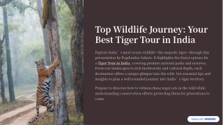 Top Wildlife Journey: Best Tiger Tour in India