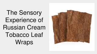 The Sensory Experience of Russian Cream Tobacco Leaf Wraps