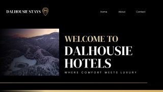 Explore Best 5 stay in Dalhousie 2025