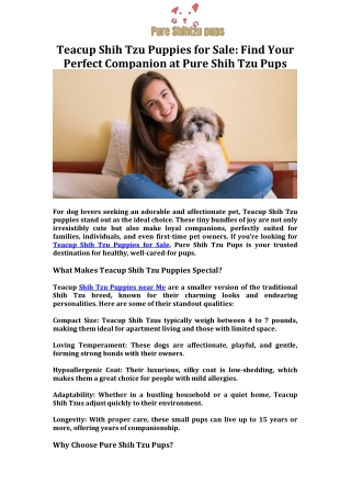 Teacup Shih Tzu Puppies for Sale Find Your Perfect Companion at Pure Shih Tzu Pups