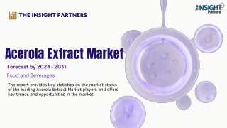 the insight partners