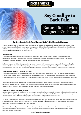 Say Goodbye to Back Pain Natural Relief with Magnetic Cushions