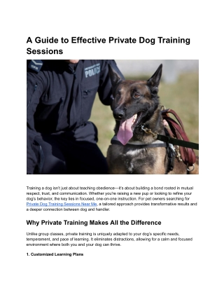 A Guide to Effective Private Dog Training Sessions