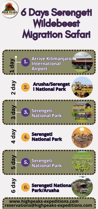 6 Days Serengeti Wildebeest Migration Safari