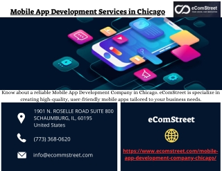 Mobile App Development Services in Chicago