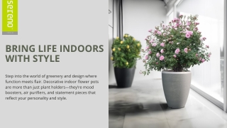 Add a Touch of Artistry with Decorative Indoor Flower Pots
