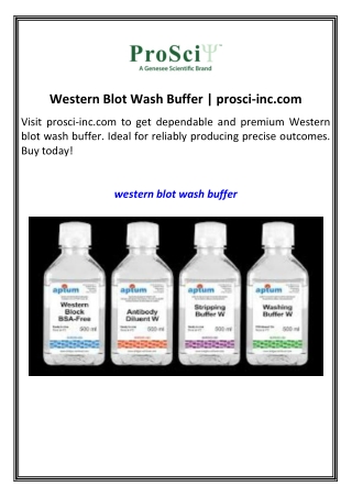 Western Blot Wash Buffer  prosci-inc.com