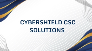 Comprehensive Cybersecurity with CyberShield's vCISO Services
