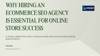 Why Hiring an Ecommerce SEO Agency is Essential for Online Store Success