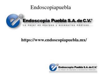 endoscopio_flexible_veterinario