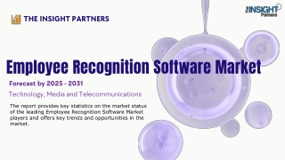 the insight partners