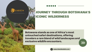 journey through botswana s iconic wilderness