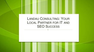 Landau Consulting Your Local Partner for IT and SEO Success