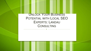 Unlock Your Business Potential with Local SEO Experts Landau Consulting
