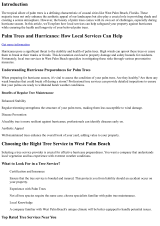 Palm Trees and Hurricanes: How Local Services Can Help