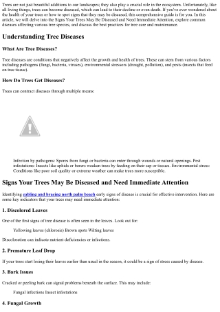 Signs Your Trees May Be Diseased and Need Immediate Attention