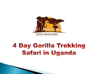 4 Day Gorilla Trekking Safari in Uganda