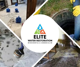 Elite Water Restoration - Your Trusted Partner for Expert Restoration and Custom