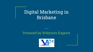 Digital Marketing in Brisbane-Powered by Webroots Experts