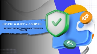 Crypto Wallet as a Service: The Fastest Way to Launch Your Own Wallet