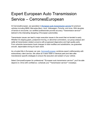 expert european auto transmission service
