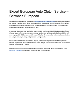 expert european auto clutch service cerrones
