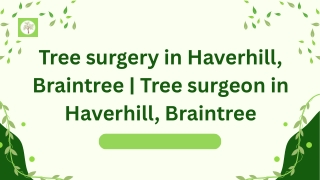 Tree surgery in Haverhill, Braintree  Tree surgeon in Haverhill, Braintree