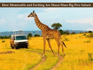 How Memorable and Exciting Are Masai Mara Big Five Safaris