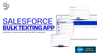 Salesforce Bulk Texting App