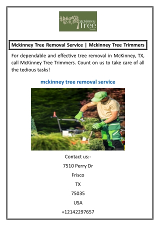 Mckinney Tree Removal Service | Mckinney Tree Trimmers