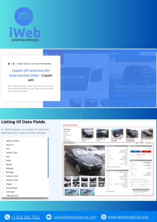 Copart API and IAAI API Auto Auction Data-Copart API