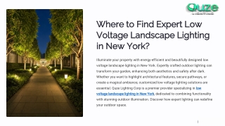 Where to find expert low voltage landscape lighting in New York