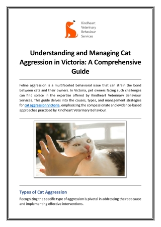 understanding and managing cat aggression