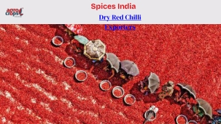 Dry Red Chilli Exporters