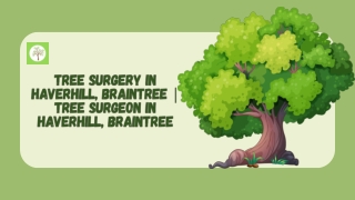 Tree surgery in Haverhill, Braintree  Tree surgeon in Haverhill, Braintree (2)