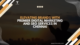 Proven SEO services in the Chennai | Best SEO Agency