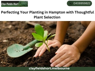 Perfecting Your Planting in Hampton with Thoughtful Plant Selection