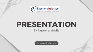 Fennel Seeds Price – Market Trends & Export Insights 2025