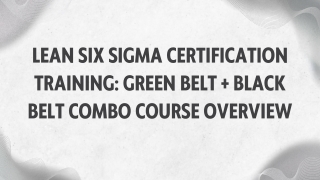 Lean Six Sigma Certification Training: Green Belt   Black Belt Combo Course Over