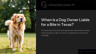 When Is a Dog Owner Liable for a Bite in Texas