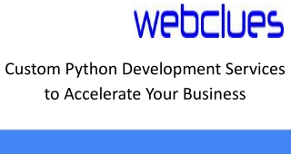 Custom Python Development Services to Accelerate Your Business