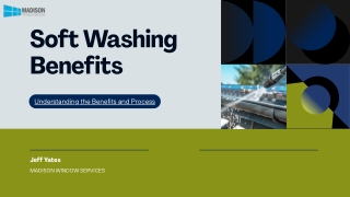 Can Soft Washing Extend the Life of Your Roof and Siding