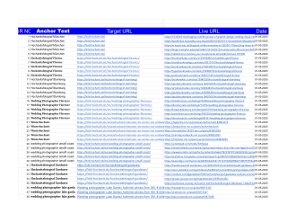 SEO - All Keywords Backlinks   https___bild-hochzeit.de_  month 5 - Tabellenblatt10
