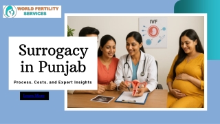 Complete Guide to Surrogacy in Punjab  Costs, Fertility Treatment Top Doctors