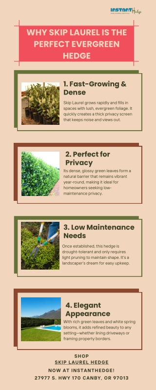 Need Privacy Fast? Choose Skip Laurel Hedges!