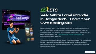 Velki White Label Betting Website Provider in Bangladesh