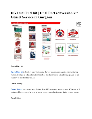 DG Dual Fuel kit | Dual Fuel conversion kit | Genset Service in Gurgaon