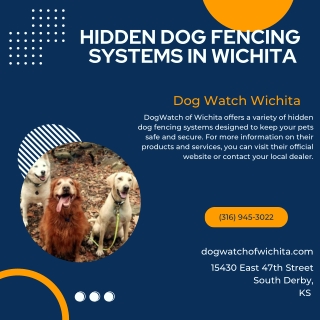 Hidden Dog Fencing Systems in Wichita  Dog Watch Wichita